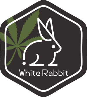 White Rabbit Bud